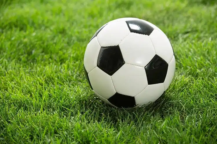 今日足球比赛结果捷报平台优势展示